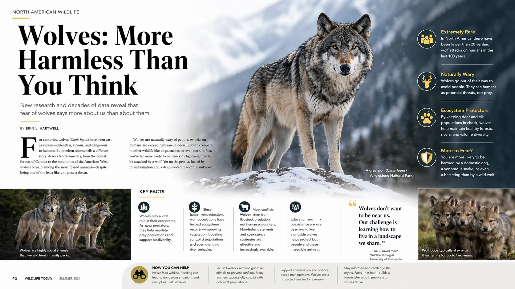 AI 生成的完美排版杂志版面